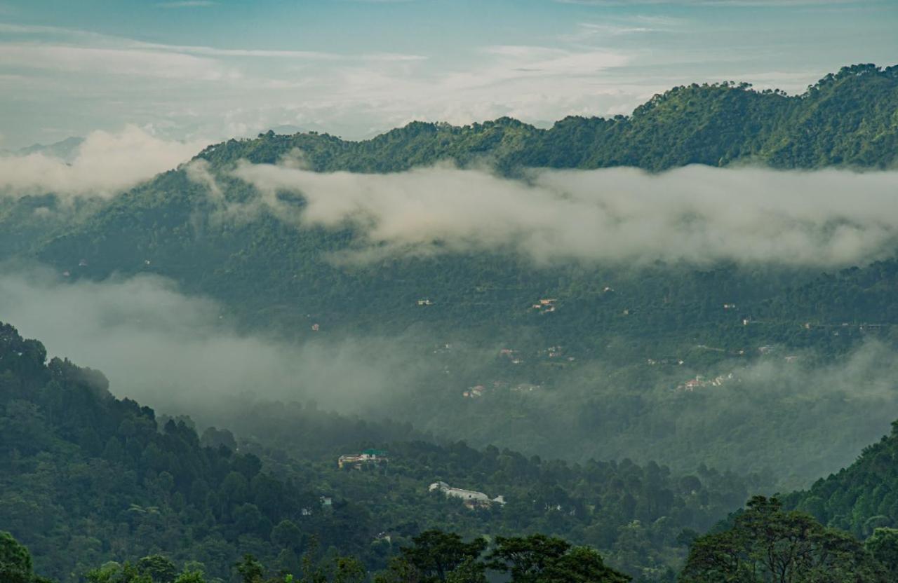 Mountain Mist Inn I Serviced Apt I Open Air Lawn & Rooftop I Bonfire I By Exotic Stays Kasauli Kültér fotó